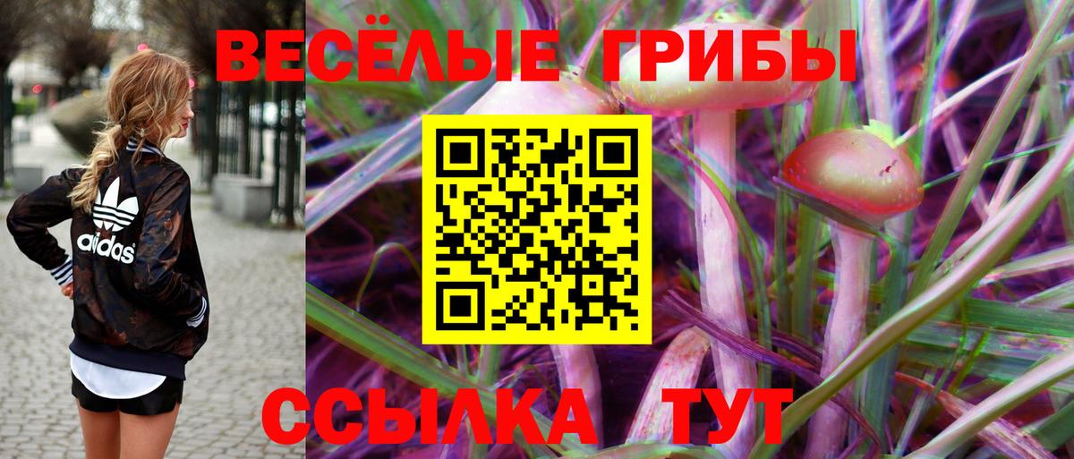 Норильск  Галлюциногенные грибы MAGIC MUSHROOMS  магазин продажи наркотиков  Вход с VPN 