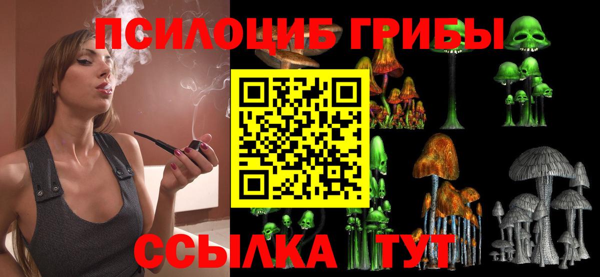 Галлюциногенные грибы Magic Shrooms Норильск